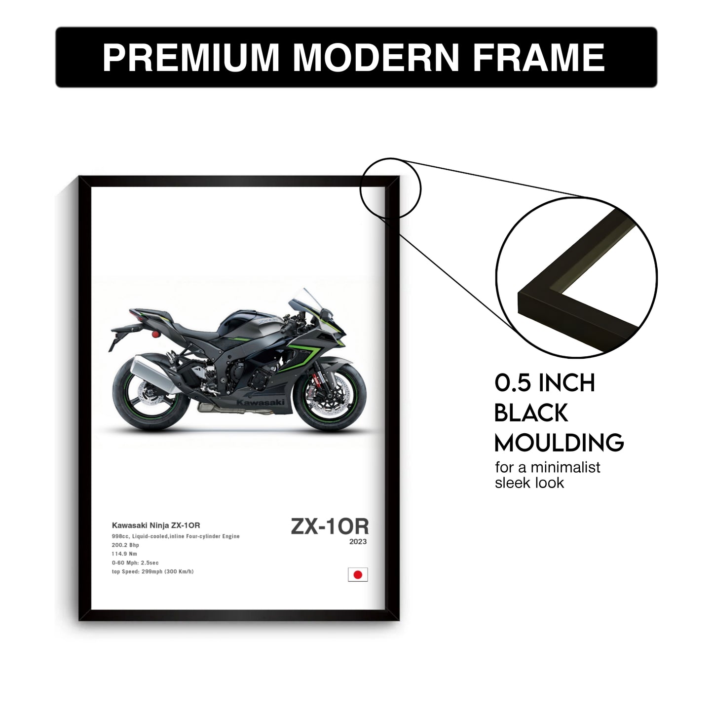 Kawasaki Ninja ZX-1OR